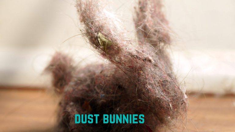 dust bunny dolls