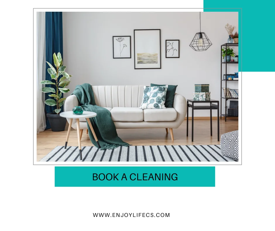 book a cleaning